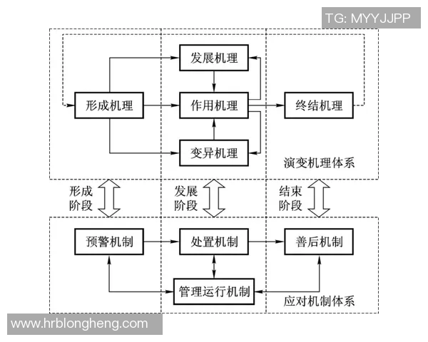 熊猫体育竞技状态评估与提升策略研究分析及实践探索